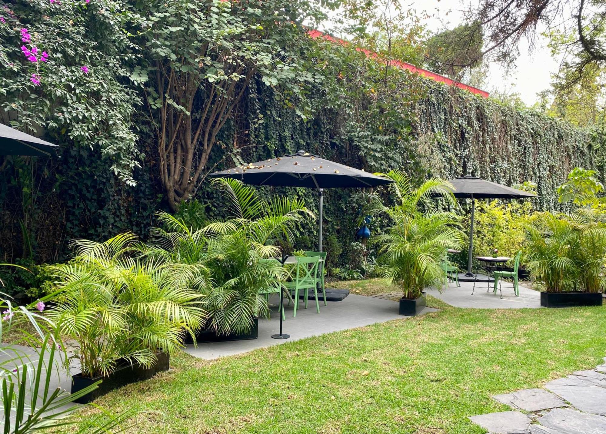 Pug Seal Polanco Anatole France Hotel Mexico City Exterior photo
